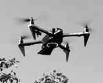 photo d un drone rapace effaroucheur